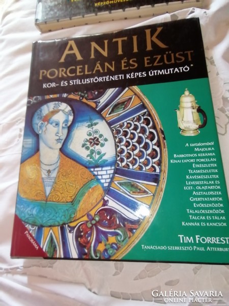 Antique porcelain and silver - age and style history pictorial guide 1998.