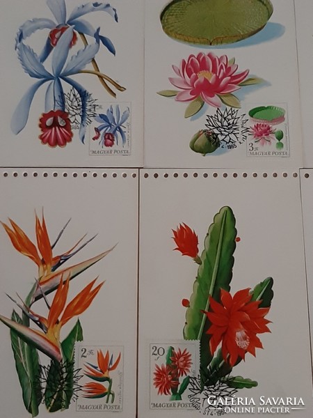 RITKASÁG!1965-ös kiadású elsőnapi pecséttel Botanikus Kertek Virágai bélyeg sorozat levelezőlapokon