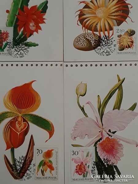 Rarity! 1965 edition with first-day stamp flowers of botanical gardens stamp series on postcards