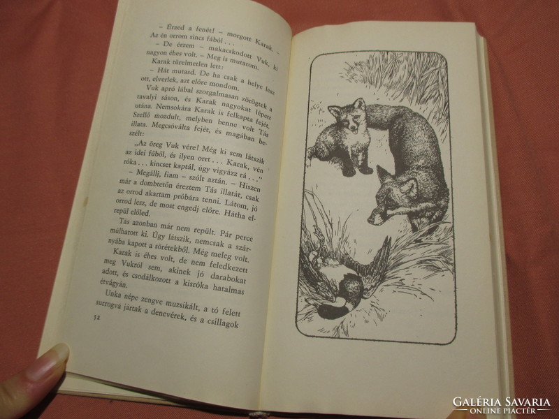 Vuk storybook, fox, animal novel