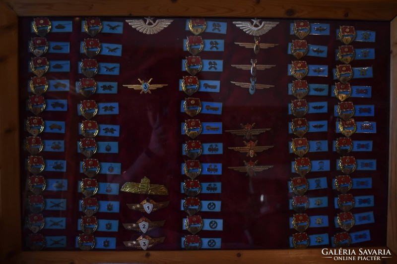 Collection of Soviet and Hungarian awards and badges in 15 glass panels