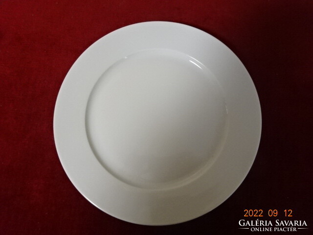 Porcelain flat plate, diameter 25.5 cm. He has! Jokai.