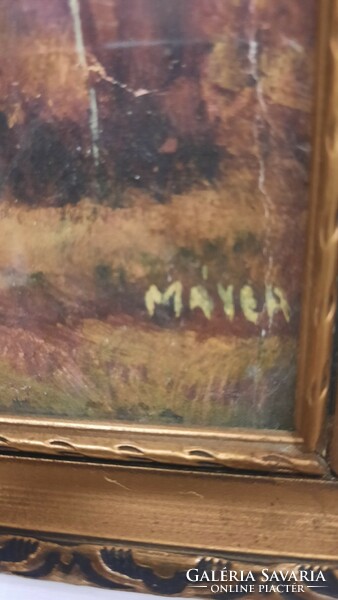 Landscape with mayer sign. Tempera painting protected by a glass plate. He has! Jokai.