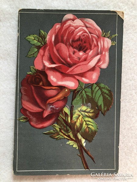 Antik, régi Rózsa virágos litho képeslap