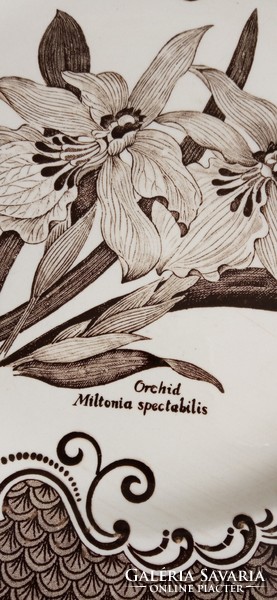 Orchid plates