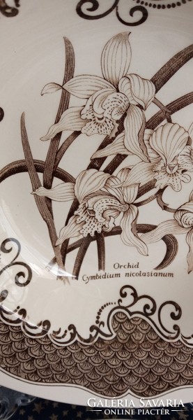 Orchideás tányérok