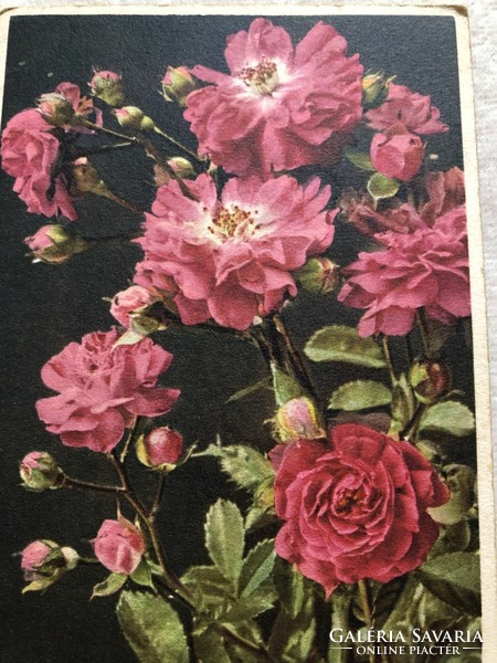 Antik Rózsa virágos képeslap - postatiszta