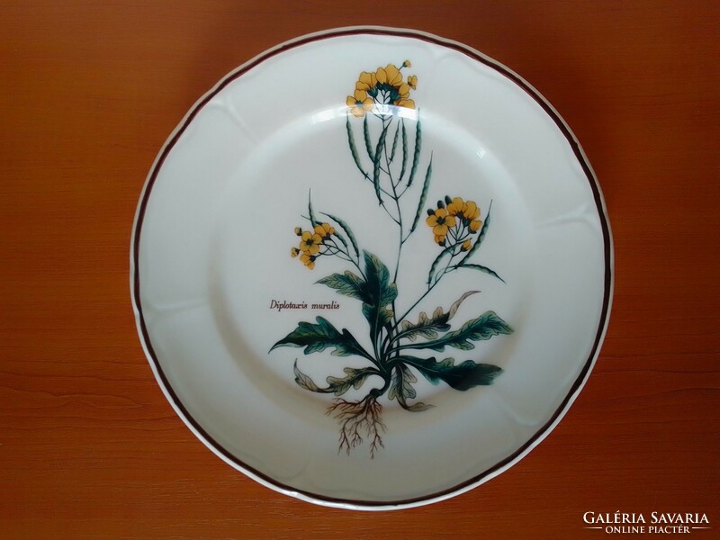 A beautiful porcelain wall plate with a delicate botanical floral pattern and a Latin inscription