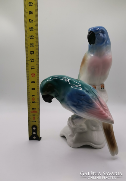 Porcelain parrots