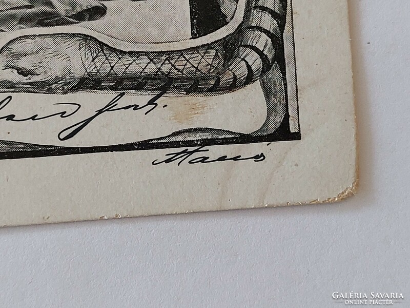 Régi képeslap 1901 art nouveau levelezőlap hölgy kígyó lótuszvirág