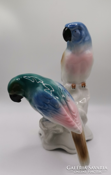 Porcelain parrots