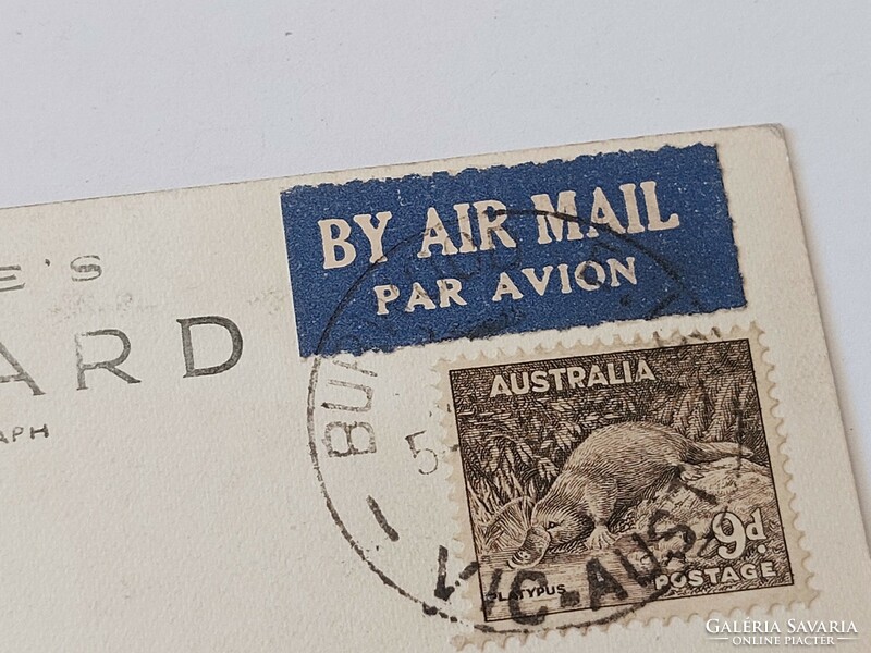 Régi képeslap fotó levelezőlap 1952 Devon Lodge Woodend