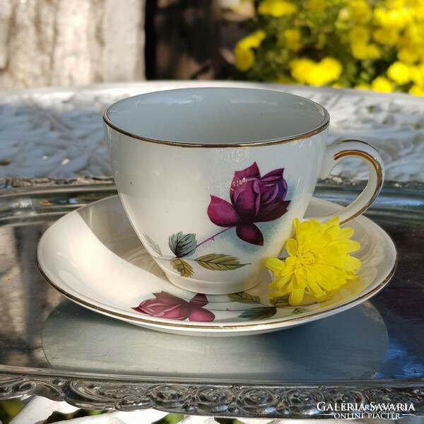 Bájos rózsás Alfred Meakin kávés csésze és csészealj