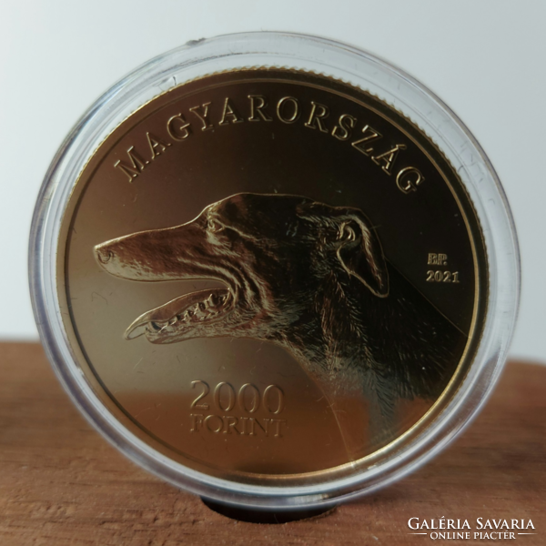 2021. évi - Magyar agár 2000 forint PP UNC (prospektussal)