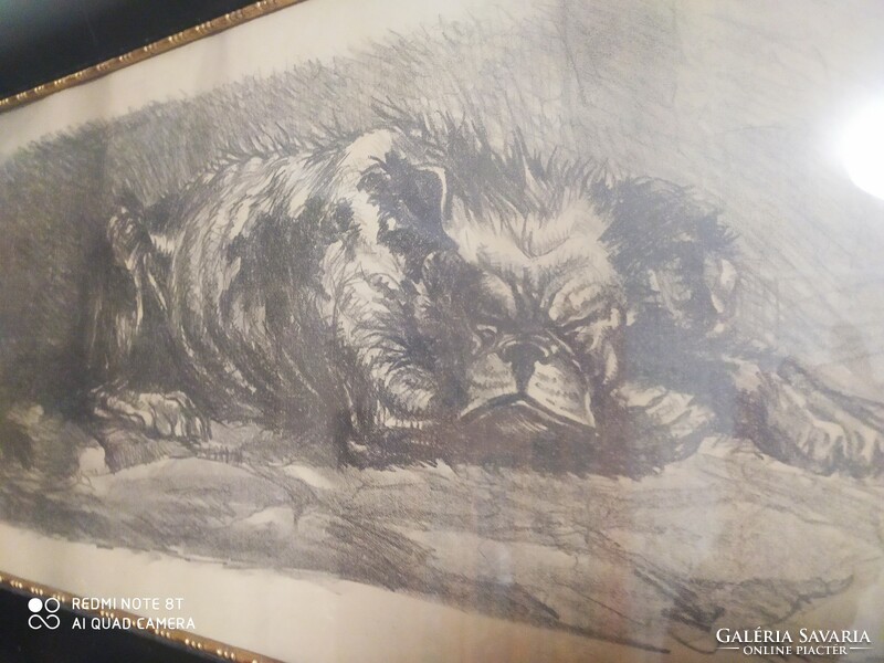 Nagy méretű, jelzett, fekvő kutyát ábrázoló grafika 1919-ből
