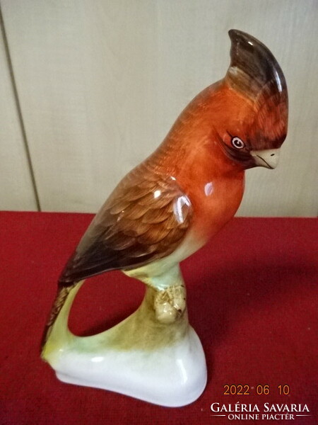 Bodroskeresztúr glazed ceramic figure, hand-painted parrot. He has! Jokai.