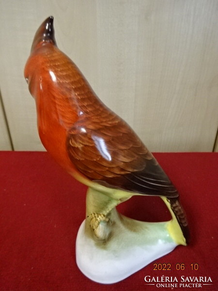 Bodroskeresztúr glazed ceramic figure, hand-painted parrot. He has! Jokai.
