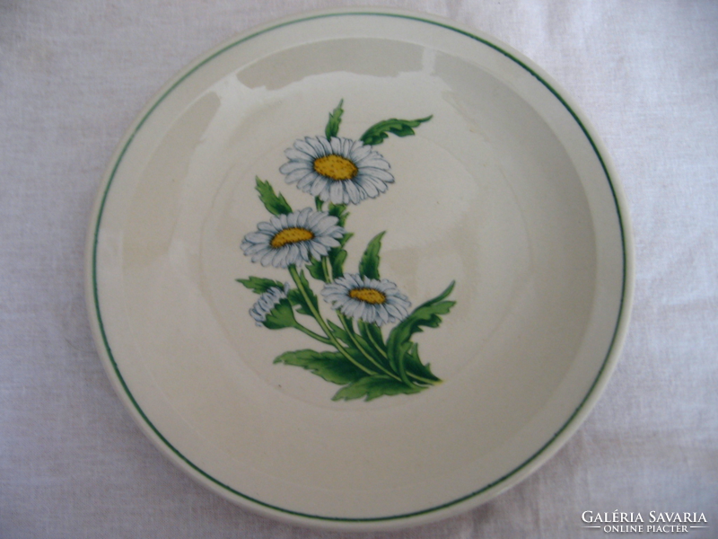 2 daisy and daisy botanical plates in one