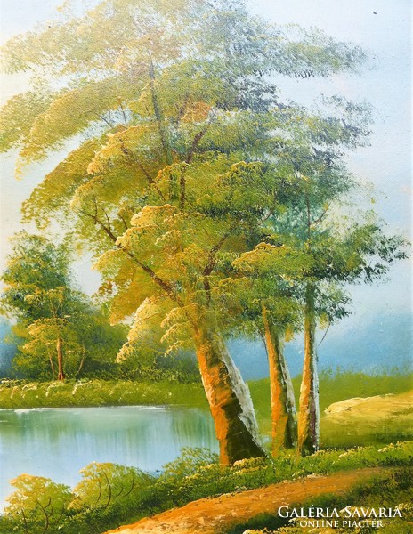 Landscape - painting / 70 x 100 cm.