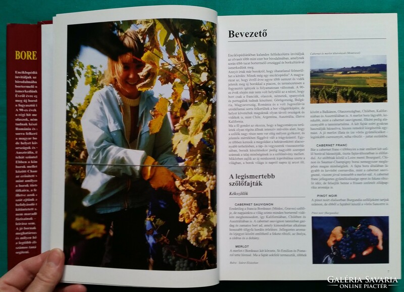 Christian Callec: Borenciklopédia > Növénytermesztés > Szőlészet, borászat > Borkészítés