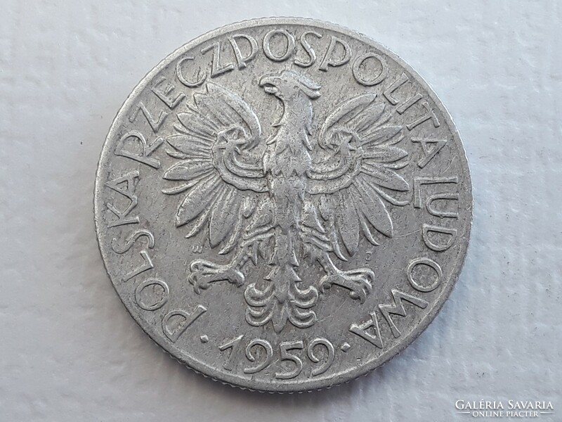 Poland 5 zloty 1959 coin - Polish 5 zloty zl 1959 foreign coin