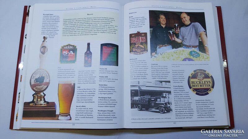 Stuart Walton Brian Glover Ital enciklopédia -borok,sörök,pálinkák és likőrök - /293/