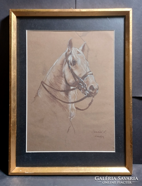 Ló portré - Tamási jelzéssel - London (ceruzarajz kerettel 38x28 cm)