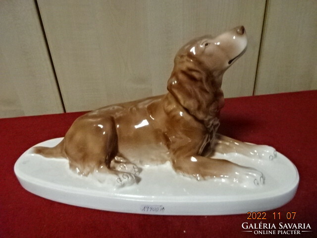 Gránit porcelán kutya figura. Talapzat mérete: 36,5 x 13,5 cm. Vanneki! Jókai.