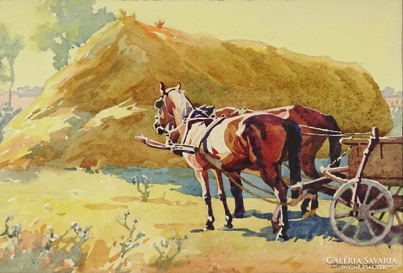 1L105 istván benyovszky: horse carriage