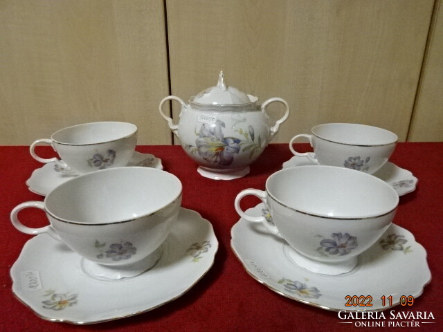 Drasche porcelain, four-person tea set, 9 pieces. He has! Jokai.