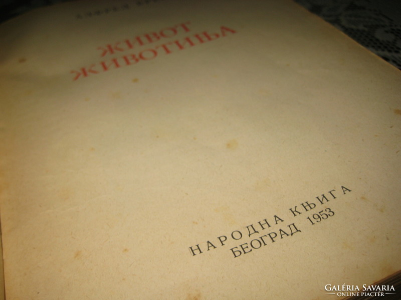 Alfred BREM  szép könyve az állatvilágról  1953 ,. szerbül