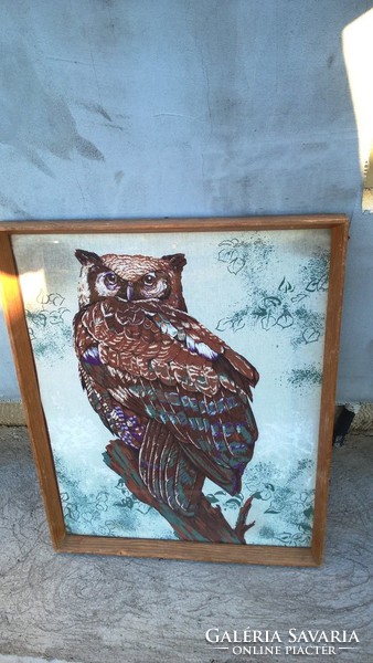 (K) huge owl image + 1 other image