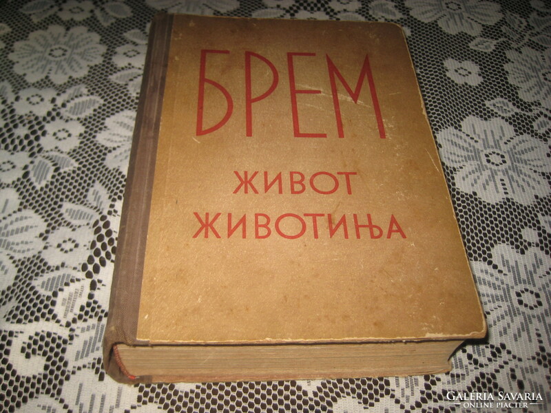 Alfred brem's nice book about the animal world 1953,. In Serbian