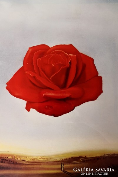 FK/263 - Salvador Dali – Meditative Rose – színes litográfia
