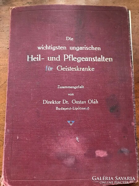 Dr. Gustav oláh - heil und pflegeanstalten für geistenkranke, medical book in German.