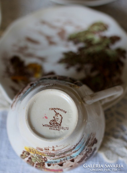 Wedgwood Countryside multicolor fajansz teás szett, vintage