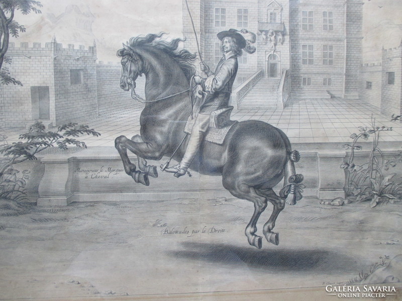 Antik metszet 1658-ból P. Clouwet-től: lap A lovaglás művészete c. metszetgyűjteményből