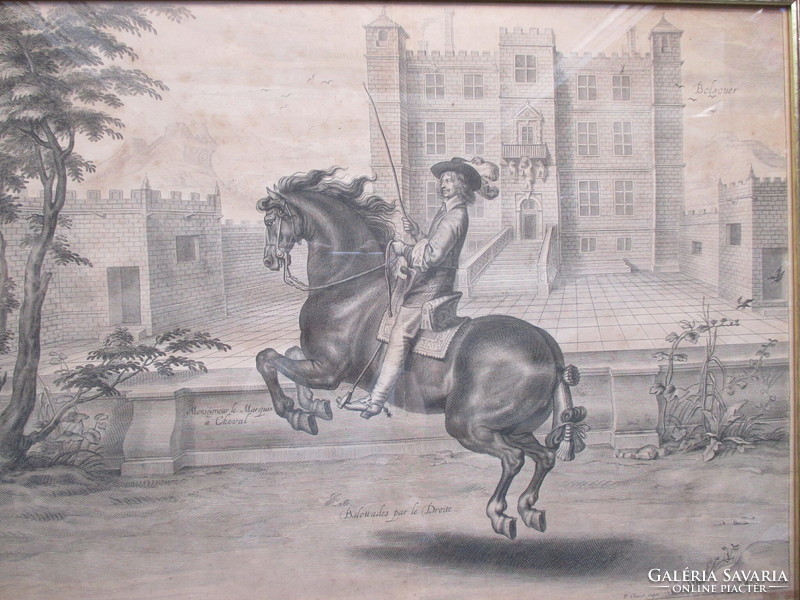 Antique engraving from 1658 p. From Clouwet: page on the art of riding. From a collection of engravings