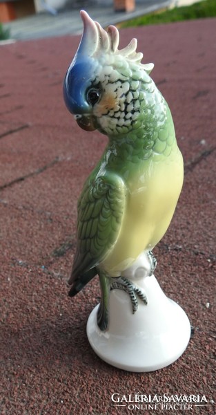 Volkstedt porcelán papagáj