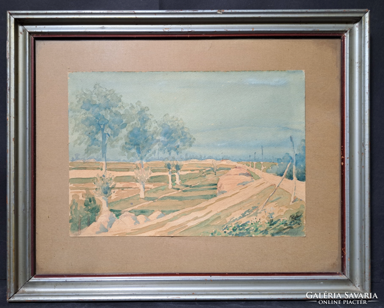 Fasor - aquarell Szerényi jelzéssel (45x36 cm) vidéki tájkép, földút