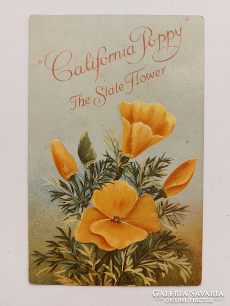 Régi dombornyomott képeslap sárga virágos levelezőlap