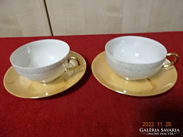 Japanese porcelain coffee cup + saucer, two pieces. He has! Jokai.