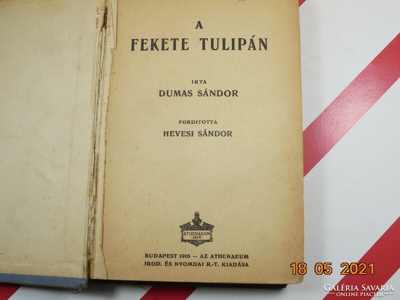Sándor Alexander dumas: the black tulip