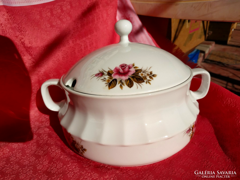 Bowl of porcelain soup with rose pattern