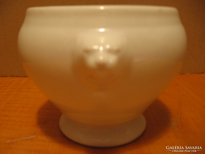 Lion's head bowl, Kaspó tognana