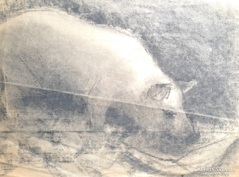 Túr a malacka - bájos szénrajz (32x43 cm) állatkép disznóról