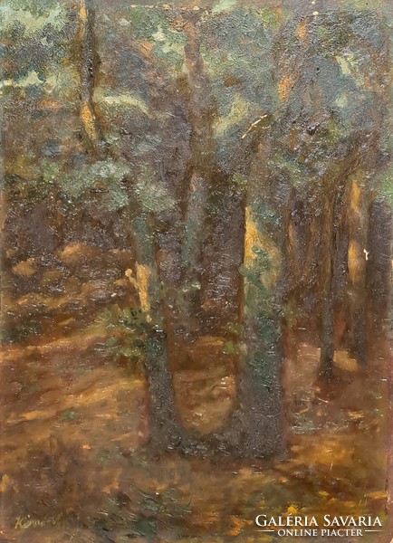 Erdő (szignózott olajfestmény kartonon 33x25 cm) erősen lakkozott - természeti táj