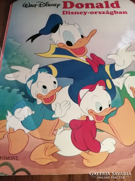 Rare! Retro storybook, Donald in Disneyland 2900 ft hardback