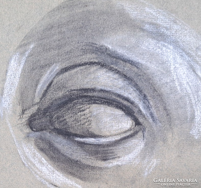 The eye (pencil drawing) krenner nelly 1911 - face detail