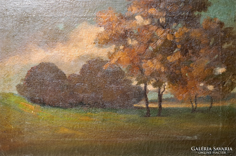 Zoltán Vári-vojtovits: autumn landscape, oil on canvas (with frame 51x35 cm)